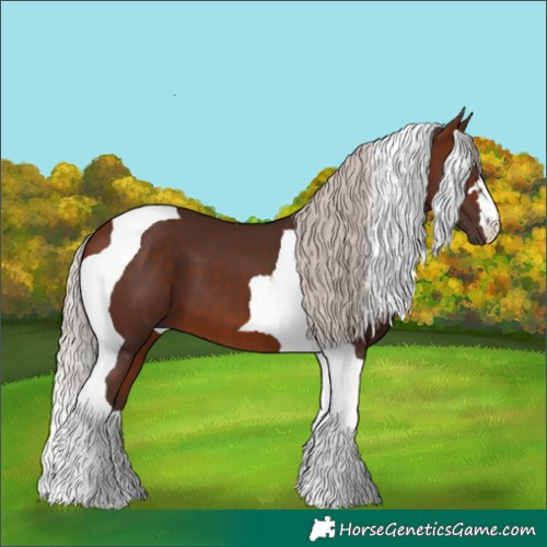 Horse Color:Silver Brown Tobiano