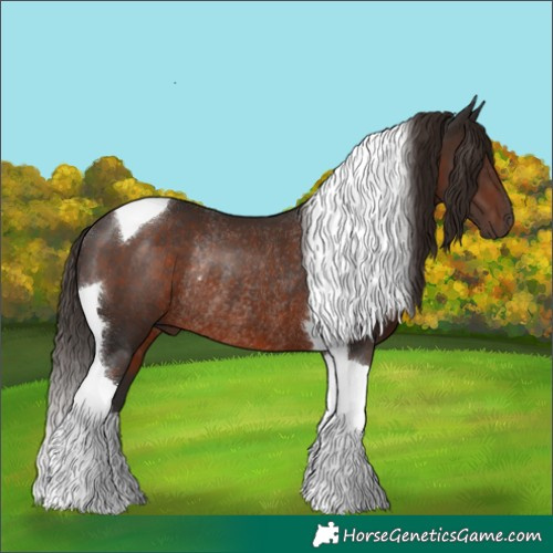 Horse Color:Liver Chestnut Tobiano Rabicano