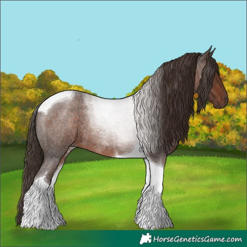 Horse Color:Liver Red Roan Tobiano