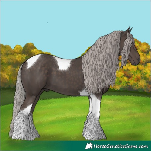 Horse Color:Silver Black Tobiano