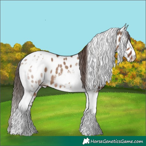 Horse Color:Liver Red Dun Tobiano Near Leopard