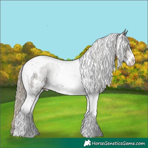 Horse Color:White Spotted Silver Smoky Black Tobiano 