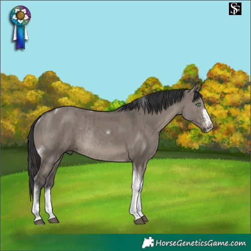 Horse Color:Grullo Mushroom Tobiano Rabicano Brindle