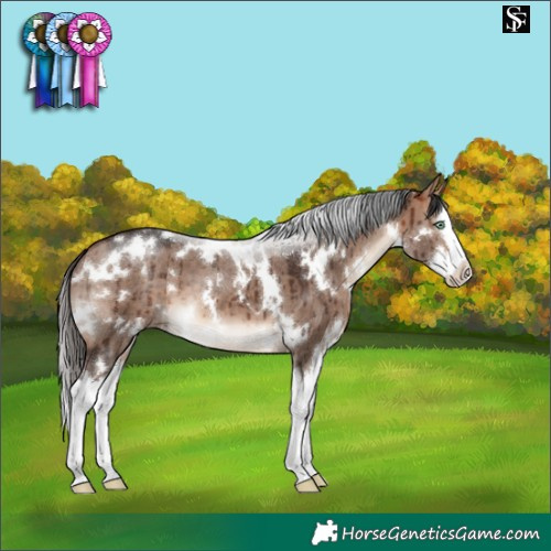 Horse Color:White Spotted Bay Dun Mushroom Splash Brindle