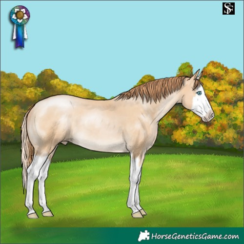 Horse Color:Buckskin Pearl Splash 