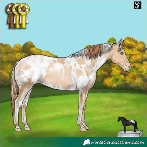 Horse Color:White Spotted Smoky Black Pearl Appaloosa