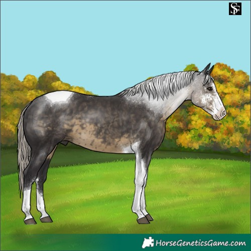 Horse Color:Silver Smoky Black Sabino Tobiano