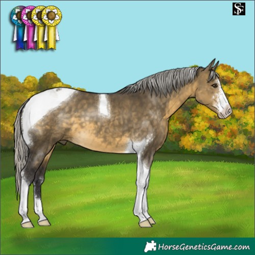 Horse Color:Silver Buckskin Dun Sabino Tobiano 