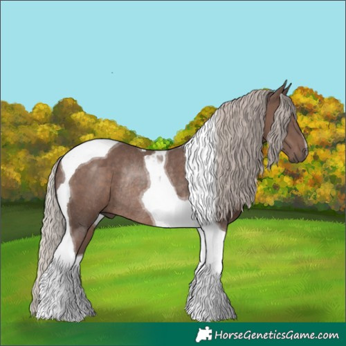Horse Color:Silver Black Tobiano Rabicano