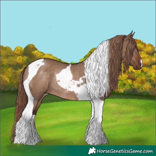 Horse Color:Liver Red Dun Tobiano Rabicano 