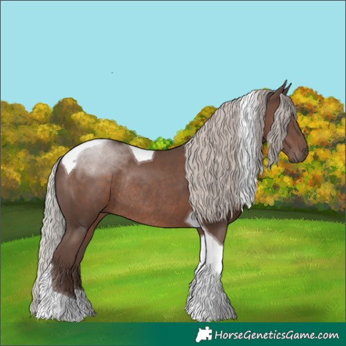 Horse Color:Silver Black Tobiano Rabicano