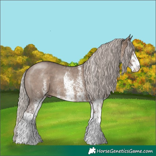 Horse Color:White Spotted Silver Grullo Rabicano