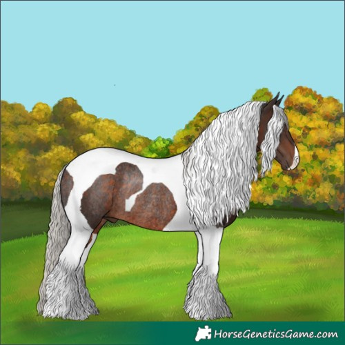 Horse Color:Silver Brown Tobiano Rabicano 