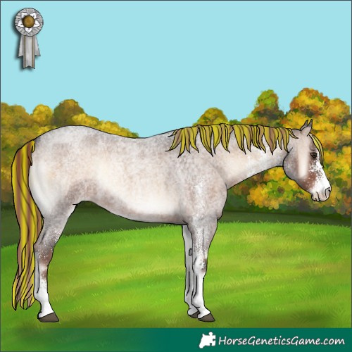 Horse Color:Painted White Spotted Liver Red Onyx Roan Rabicano