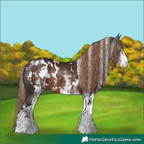 Horse Color:White Spotted Liver Chestnut Rabicano