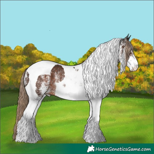Horse Color:White Spotted Liver Chestnut Tobiano Rabicano 