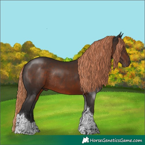 Horse Color:Liver Chestnut Tobiano Rabicano
