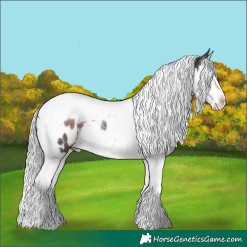 Horse Color:Silver Brown Splash Tobiano Blanket Rabicano