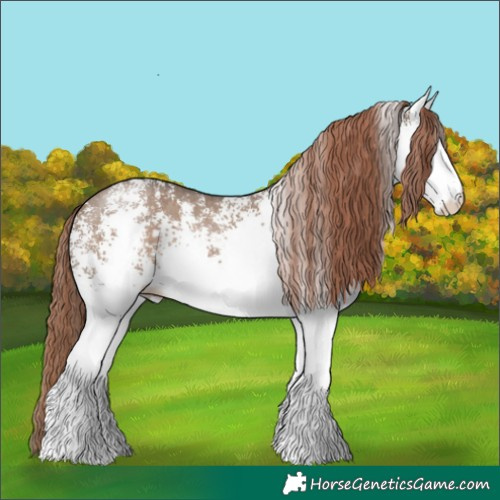 Horse Color:White Spotted Liver Red Dun Rabicano 