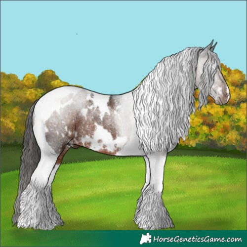Horse Color:White Spotted Liver Chestnut Tobiano Rabicano