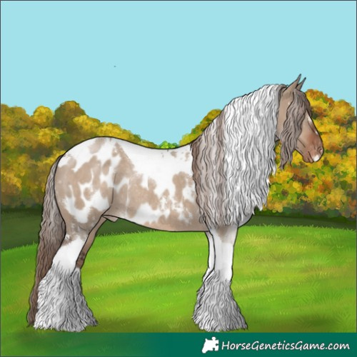 Horse Color:White Spotted Liver Red Dun Tobiano Near Leopard Rabicano