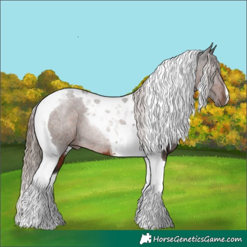 Horse Color:Liver Chestnut Tobiano Rabicano