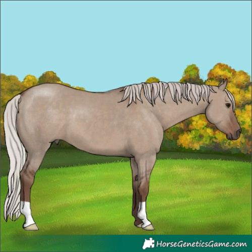 Horse Color:Silver Grullo