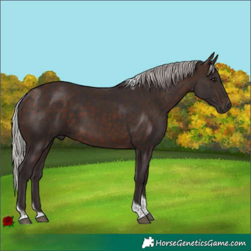 Horse Color:Silver Brown Tobiano