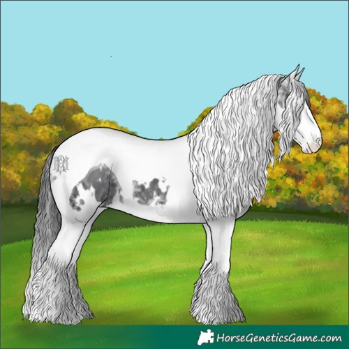 Horse Color:White Spotted Black Ice Splash Tobiano 