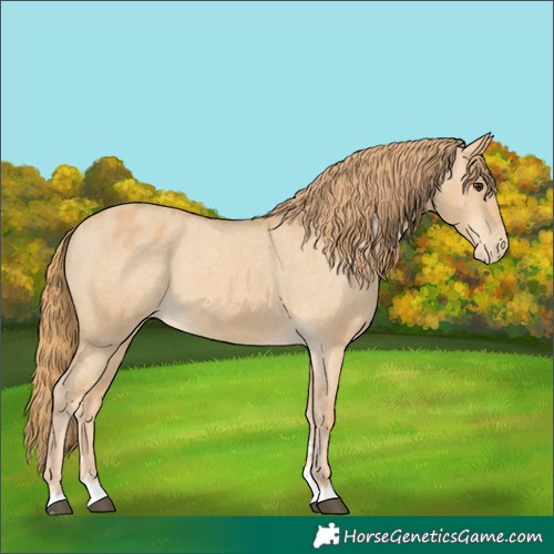 Horse Color:Red Dun Varnish