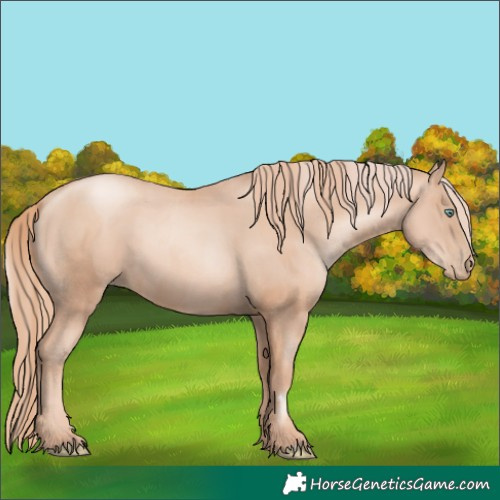 Horse Color:Gold Champagne Pearl Rabicano  and Gold Champagne Pearl Rabicano 