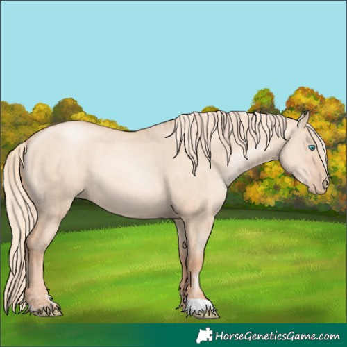 Horse Color:Gold Champagne Pearl Dun Rabicano and Gold Champagne Pearl Dun Rabicano