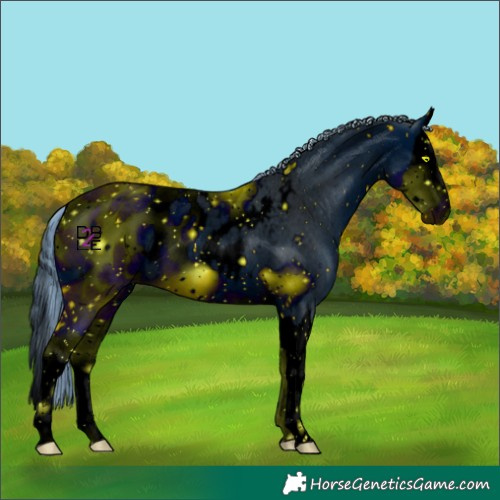 Horse Color:ERROR: UNKNOWN ANOMALY