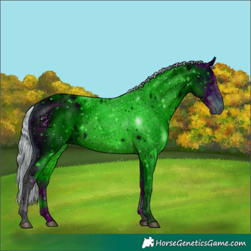Horse Color:ERROR: UNKNOWN ANOMALY