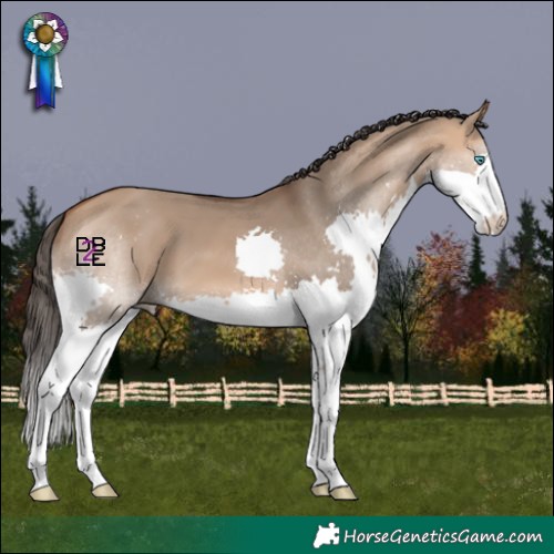 Horse Color:Bay Dun Splash 
