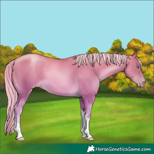 Horse Color:Platinum Chocolate Palomino Pearl Sabino Tobiano Rabicano 