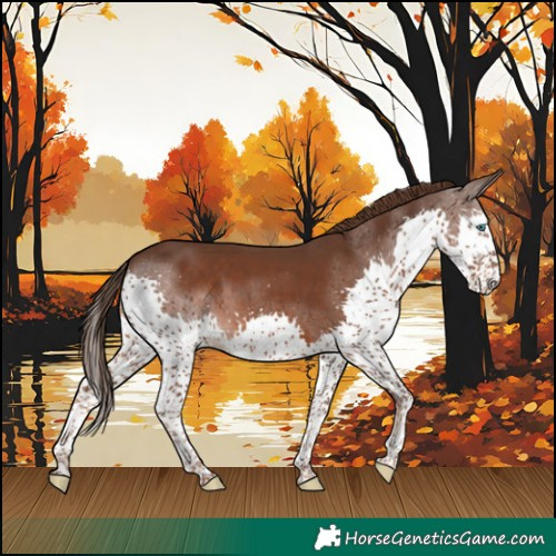 Horse Color:Liver Chestnut Splash 