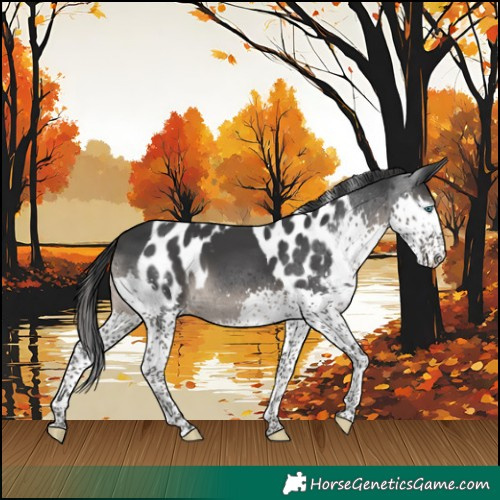 Horse Color:Black Splash Skewed LP Spotted