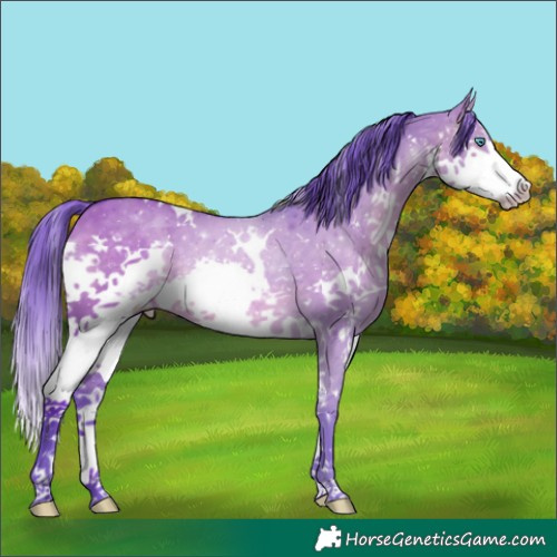 Horse Color:Watercolor White Spotted Brown Dun Splash 