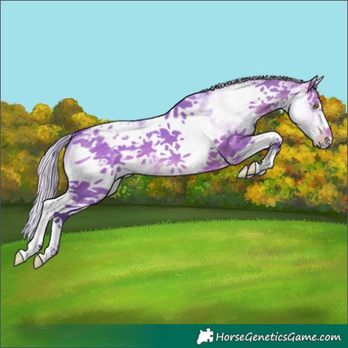 Horse Color:Watercolor White Spotted Silver Brown Dun Blanket 