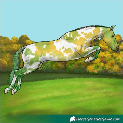 Horse Color:Watercolor White Spotted Brown Dun