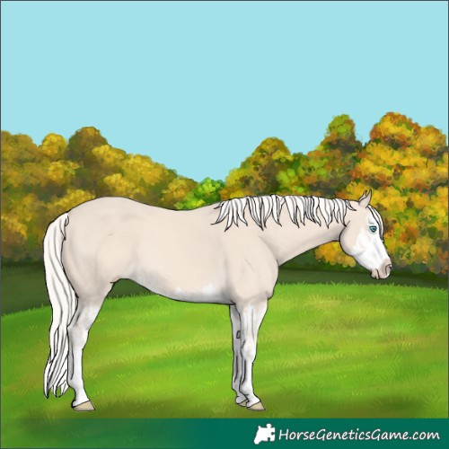 Horse Color:Cremello Splash  and Cremello Splash 