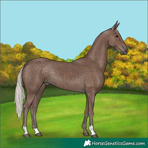 Horse Color:Silver Black 