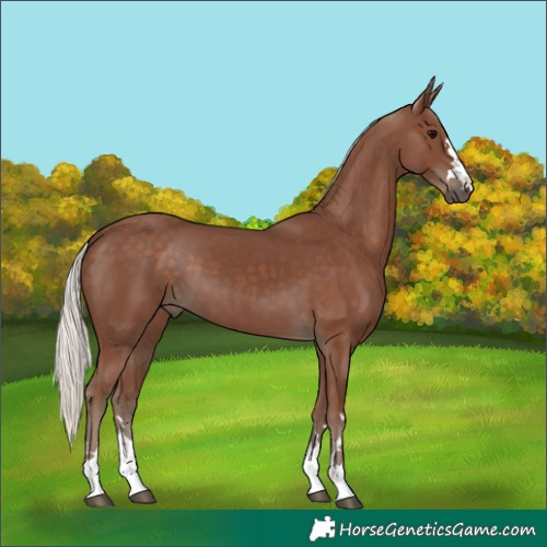 Horse Color:Silver Black 