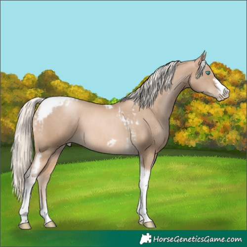 Horse Color:Chocolate Palomino Pearl Tobiano Frame  and Chocolate Palomino Pearl Tobiano Frame 