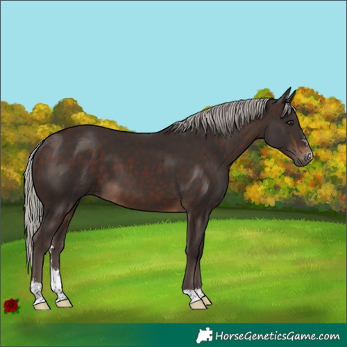 Horse Color:Silver Brown Sabino