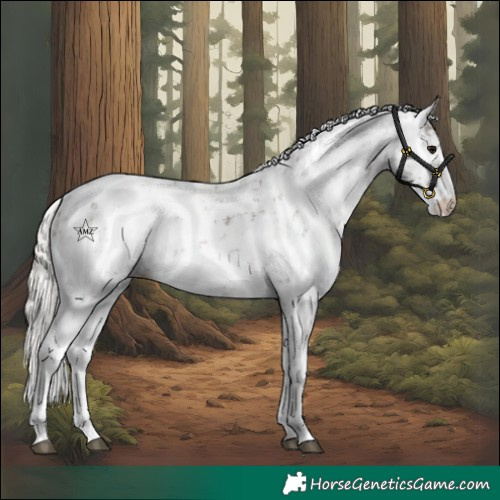 Horse Color:Silver Black Sabino