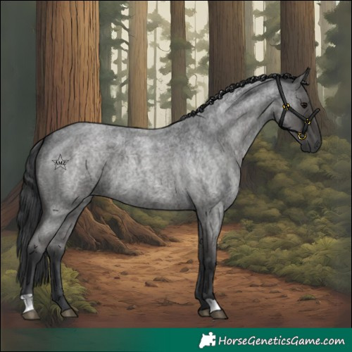 Horse Color:Blue Roan 