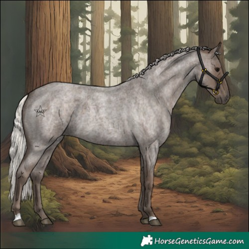 Horse Color:Silver Blue Roan