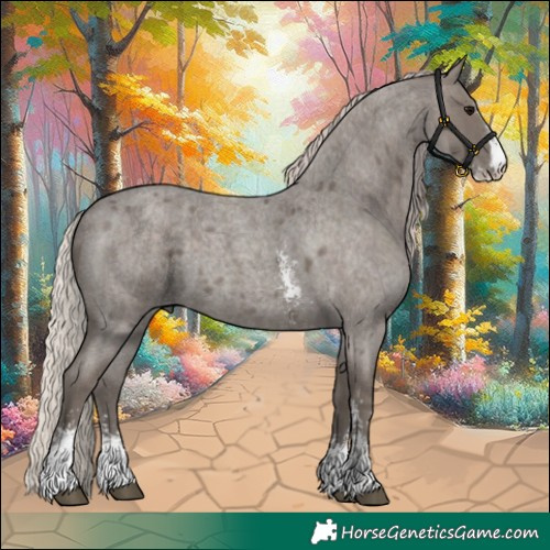 Horse Color:Silver Blue Roan Sabino